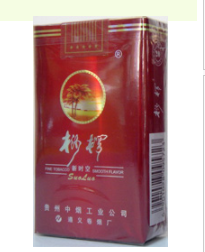 国外烟花爆竹火箭