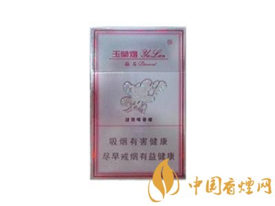 中国比较著名的外烟